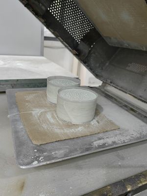 Schneller kurierender Melamin-Formmasse-Rohstoff-Salznebel-Widerstand SGS