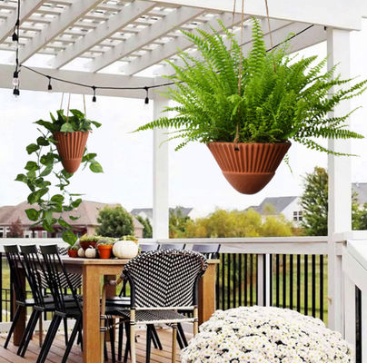 Hängende Pflanzenpflanzen für Zimmerpflanzen, Terrakotta-Hängende Pflanzenpflanzenpflanzenpflanzenpflanzenpflanzenpflanzenpflanzenpflanzenpflanzenpflanzenpflanzenpflanzenpflanzenpflanzenpflanzenpflanzenpflanzenpflanzenpflanzen