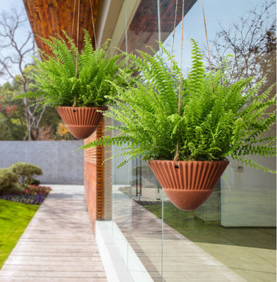 Hängende Pflanzenpflanzen für Zimmerpflanzen, Terrakotta-Hängende Pflanzenpflanzenpflanzenpflanzenpflanzenpflanzenpflanzenpflanzenpflanzenpflanzenpflanzenpflanzenpflanzenpflanzenpflanzenpflanzenpflanzenpflanzenpflanzenpflanzen